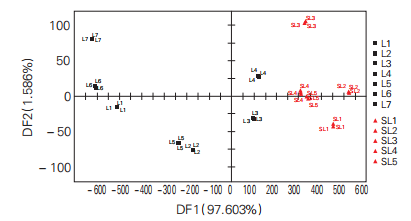 圖4 基于電子舌檢測的山西老陳醋和老陳醋的DFA圖